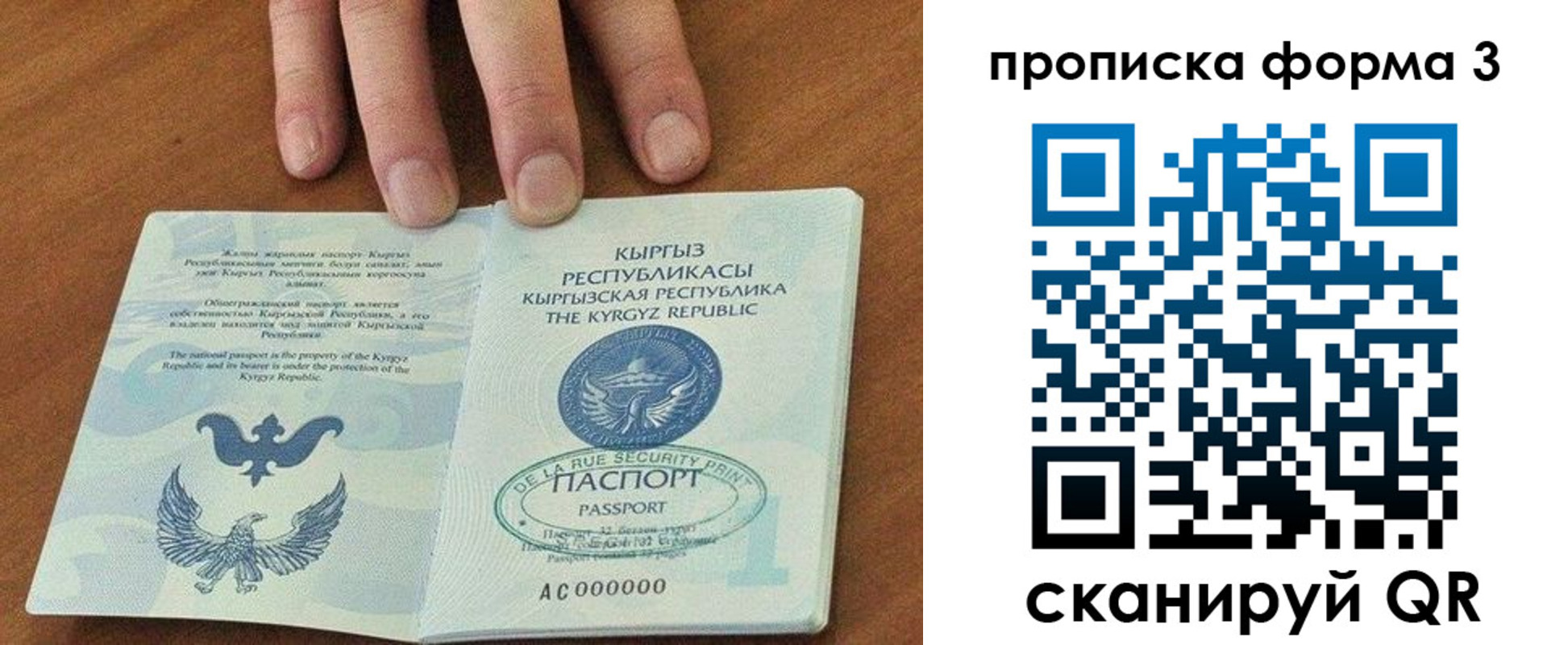 прописка 2025 в Ипатово